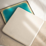 Maxbell Dinner Plate Multipurpose Easy to Clean Serving Tray for Steak Salad Dessert