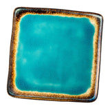 Maxbell Dinner Plate Multipurpose Easy to Clean Serving Tray for Steak Salad Dessert