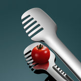 Maxbell Stainless Steel Serving Tongs Kitchen Tongs for Restaurant Serving Food Meat L