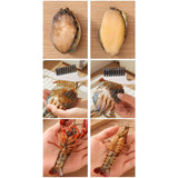 Maxbell Seafood Cleaning Brush Hanging Hook Multifunctional Easy to Use Kitchen Tool