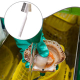Maxbell Seafood Cleaning Brush Hanging Hook Multifunctional Easy to Use Kitchen Tool