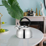 Maxbell Whistling Kettle with Handle Cooker Tea Kettle for Camping Barbecue Outdoor Silver