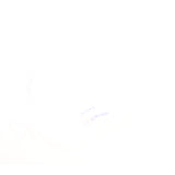 Maxbell Halloween Large Luminous Butterfly Light up LED Belly Dance Wings Style 2