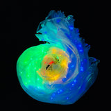 Maxbell Halloween Large Colorful Luminous Butterfly LED Belly Dance Wings Style 1