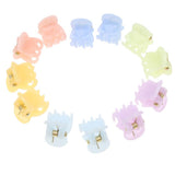 Maxbell 12Pieces Fashion Women Resin Mini Hairpin 6 Claws Girls Hair Clip Clamp 01