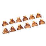 Maxbell 12x Women Mini Hair Claw Clips Plastic Hair Clamps Octopus Jaw Hairpin Brown