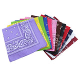 Maxbell 12pcs/set Dozen Paisley Bandanas, Cowboy Head Scarf Cowgirl Headband Necktie - Aladdin Shoppers