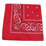 Maxbell 12pcs/set Dozen Paisley Bandanas, Cowboy Head Scarf Cowgirl Headband Necktie - Aladdin Shoppers