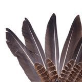 Maxbell Native American Indian Headwear Feather Headdress for Mardi Gras Fancy Dress