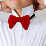 Maxbell 5xMen's Velvet Bow Tie Solid Color Formal Big Bow Tie for Party Groom Business Red