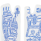 Maxbell Maxbell Reflexology Socks with Zones Marked Soft Hosiery Acupoint Illustration Socks 28.5cmx8cm Green