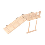Maxbell Bird Perches Cage Toys Platform Parrot Playstand for Budgie Lovebird Hamster