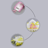 Maxbell Cat Ears Lolita Headband Cute for Party Supplies Stage Performances Carnival yellow