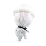 Maxbell Halloween Colonial Wig Men Judge Lawyer Wig for Daily Use Concerts Show