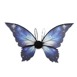 Maxbell Halloween Fairy Wings Toy Fancy Dress up for Role Playing Valentine Princess Style B