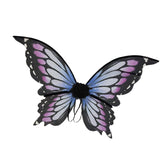 Maxbell Halloween Fairy Wings Toy Fancy Dress up for Role Playing Valentine Princess Style D