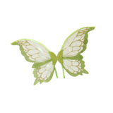 Maxbell Fairy Wing Lovely Butterfly Wing for Stage Performance