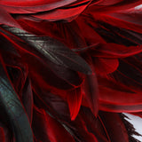 Maxbell Sequins Feather Headpiece Elegant Headwear for Stage Show Dance Role Playing red