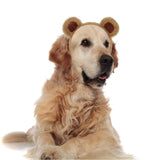Maxbell Bear Ears Headband Head Band Hairband for Dress up Party Favors Cosplay Prop