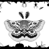 Maxbell Halloween Butterfly Cape Women with Headpiece for Dressing up Party Carnival Gray