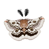 Maxbell Halloween Butterfly Cape Women with Headpiece for Dressing up Party Carnival Coffee