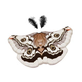 Maxbell Halloween Butterfly Cape Women with Headpiece for Dressing up Party Carnival Coffee