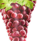 Maxbell Grape Costume Props Fruit Outfit for Themed Party Music Festivals Gatherings