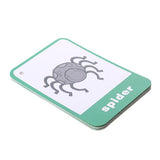 Maxbell Flash Cards - Educational Learning Picture & Word Card Insect - 12Pieces - Aladdin Shoppers