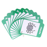 Maxbell Flash Cards - Educational Learning Picture & Word Card Insect - 12Pieces - Aladdin Shoppers