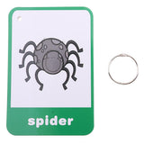 Maxbell Flash Cards - Educational Learning Picture & Word Card Insect - 12Pieces - Aladdin Shoppers