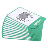 Maxbell Flash Cards - Educational Learning Picture & Word Card Insect - 12Pieces - Aladdin Shoppers