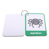 Maxbell Flash Cards - Educational Learning Picture & Word Card Insect - 12Pieces - Aladdin Shoppers
