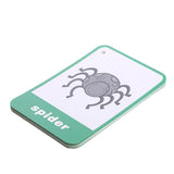Maxbell Flash Cards - Educational Learning Picture & Word Card Insect - 12Pieces - Aladdin Shoppers