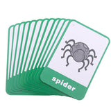 Maxbell Flash Cards - Educational Learning Picture & Word Card Insect - 12Pieces - Aladdin Shoppers