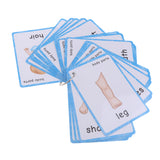 Maxbell Maxbell Preschool Educational Sight Word Flash Cards Body Parts - 36 Pieces