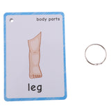 Maxbell Maxbell Preschool Educational Sight Word Flash Cards Body Parts - 36 Pieces