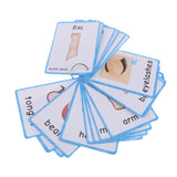 Maxbell Maxbell Preschool Educational Sight Word Flash Cards Body Parts - 36 Pieces