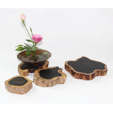 Maxbell Round Ikebana Kenzan Flower Frog Rubber Base with Storage Bag