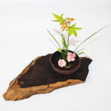 Maxbell Round Ikebana Kenzan Flower Frog Rubber Base with Storage Bag