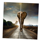 Maxbell Set of 2 Panels Digital Photo Printing 3D Curtains Aminals Elephant - Aladdin Shoppers