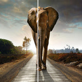 Maxbell Set of 2 Panels Digital Photo Printing 3D Curtains Aminals Elephant - Aladdin Shoppers