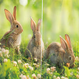 Maxbell Set of 2 Panels Digital Photo Printing 3D Curtains Aminals Rabbit - Aladdin Shoppers