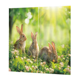 Maxbell Set of 2 Panels Digital Photo Printing 3D Curtains Aminals Rabbit - Aladdin Shoppers