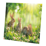 Maxbell Set of 2 Panels Digital Photo Printing 3D Curtains Aminals Rabbit - Aladdin Shoppers