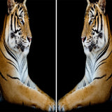 Maxbell Set of 2 Panels Digital Photo Printing 3D Curtains Aminals Yellow Tiger - Aladdin Shoppers