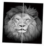Maxbell Set of 2 Panels Digital Photo Printing 3D Curtains Aminals Gray Lion - Aladdin Shoppers