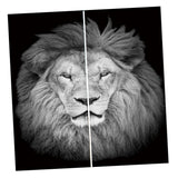 Maxbell Set of 2 Panels Digital Photo Printing 3D Curtains Aminals Gray Lion - Aladdin Shoppers