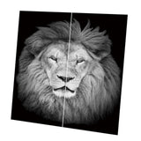 Maxbell Set of 2 Panels Digital Photo Printing 3D Curtains Aminals Gray Lion - Aladdin Shoppers