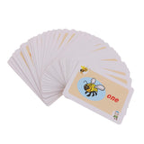 Maxbell Maxbell 36 Pieces Preschool Educational Sight Word Flash Cards Picture Word Card #5