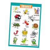 Maxbell Maxbell Kids Baby Learning Poster Preschool Educational Wall Posters Insect